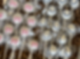 IMG_9697 2.PNG